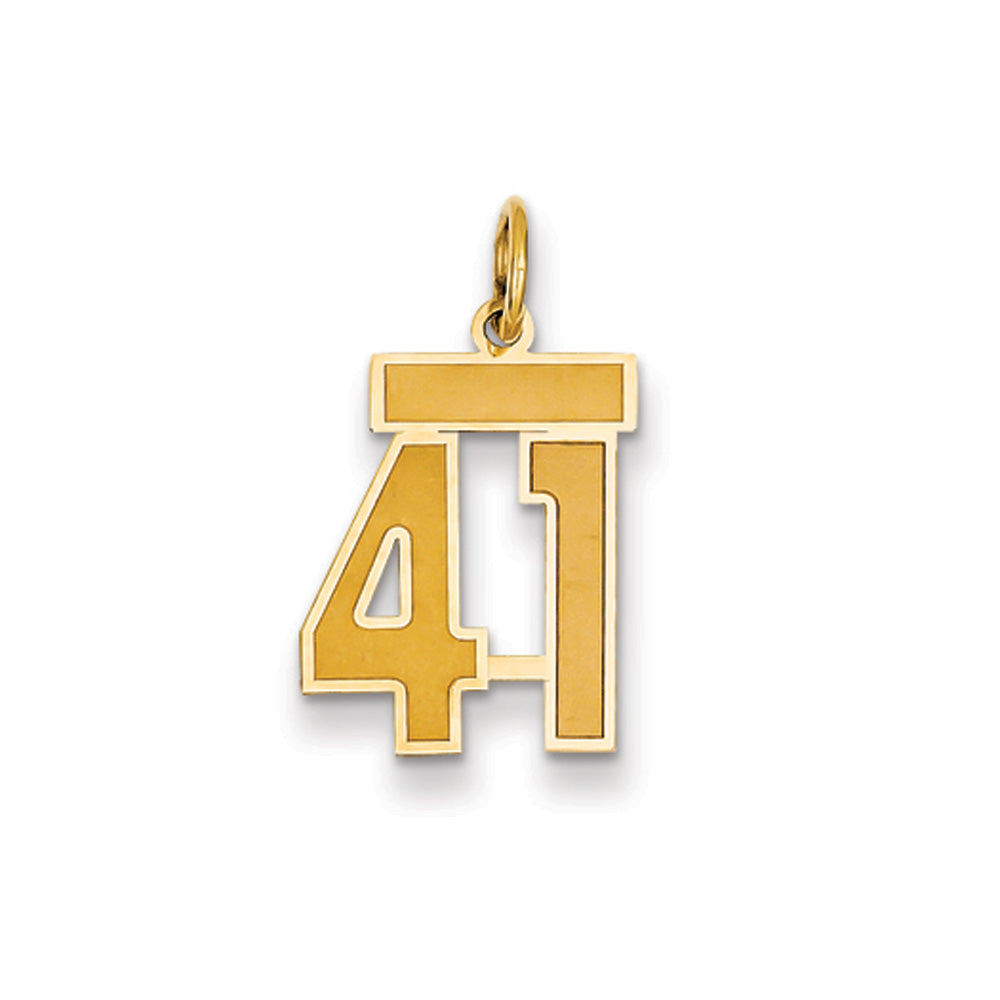 14k Yellow Gold, Jersey Collection, Small Number 41 Pendant, Item P10400-41 by The Black Bow Jewelry Co.