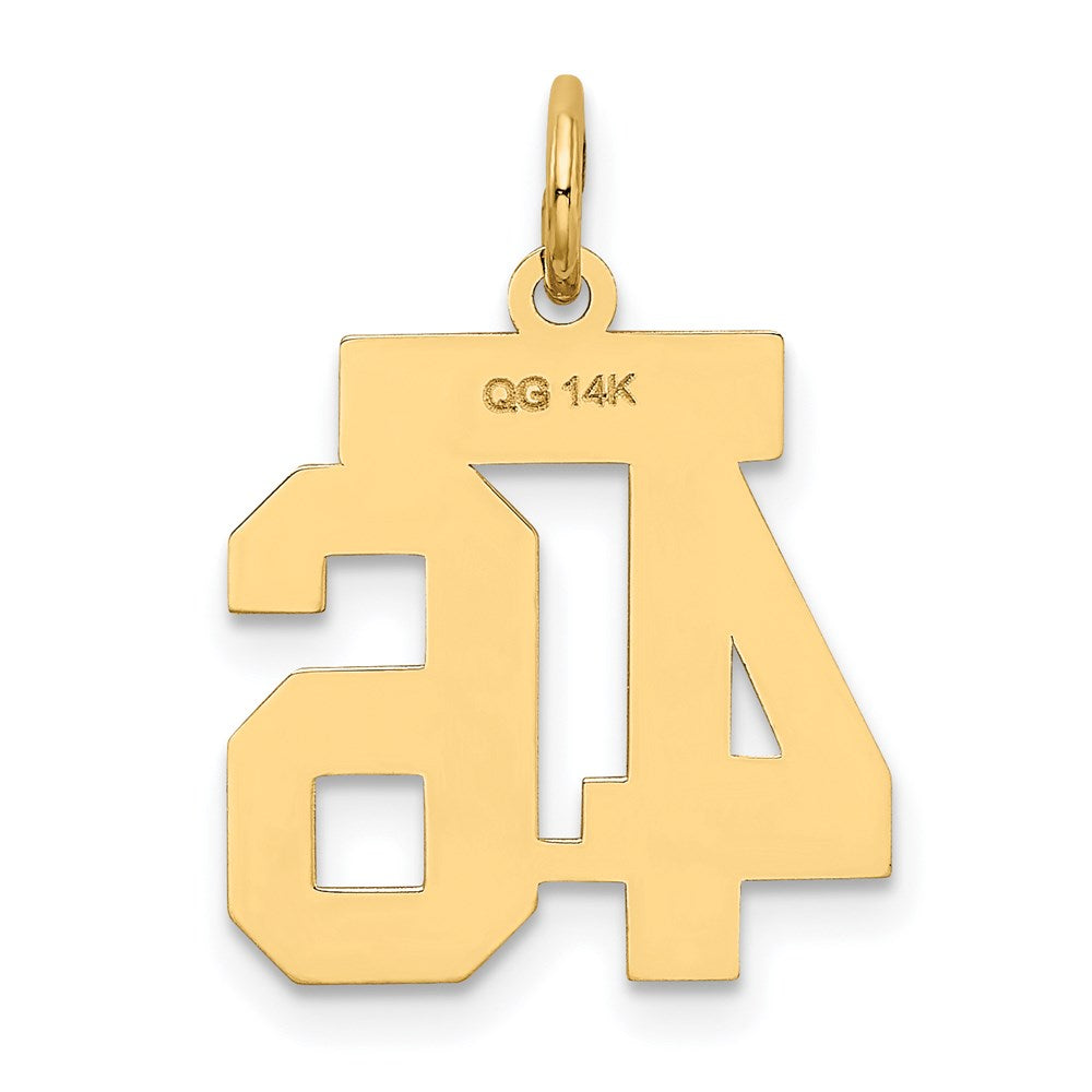 Alternate view of the 14k Yellow Gold, Jersey Collection, Small Number 46 Pendant by The Black Bow Jewelry Co.