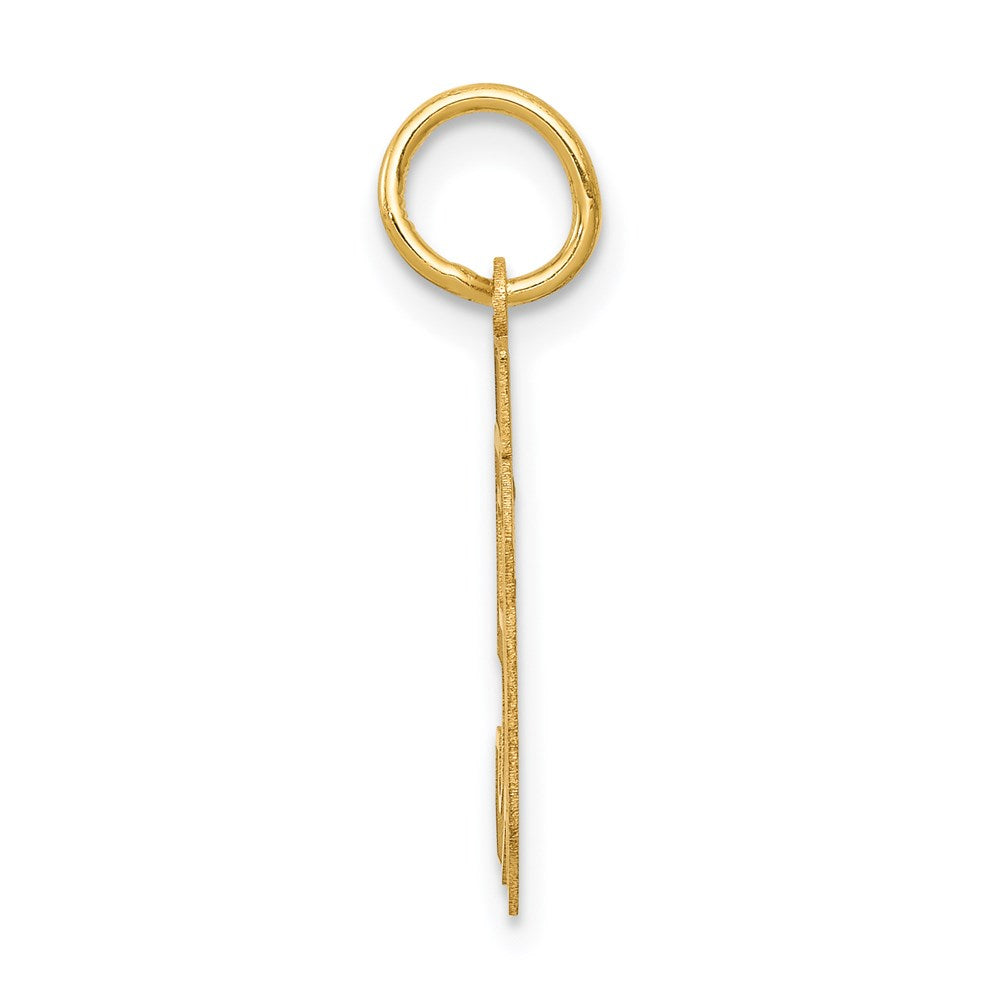Alternate view of the 14k Yellow Gold, Jersey Collection, Small Number 50 Pendant by The Black Bow Jewelry Co.