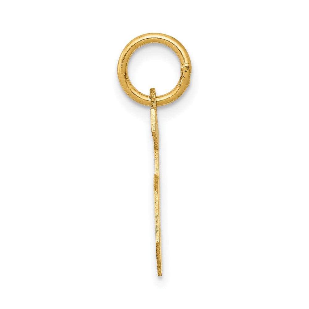 Alternate view of the 14k Yellow Gold, Jersey Collection, Small Number 5 Pendant by The Black Bow Jewelry Co.