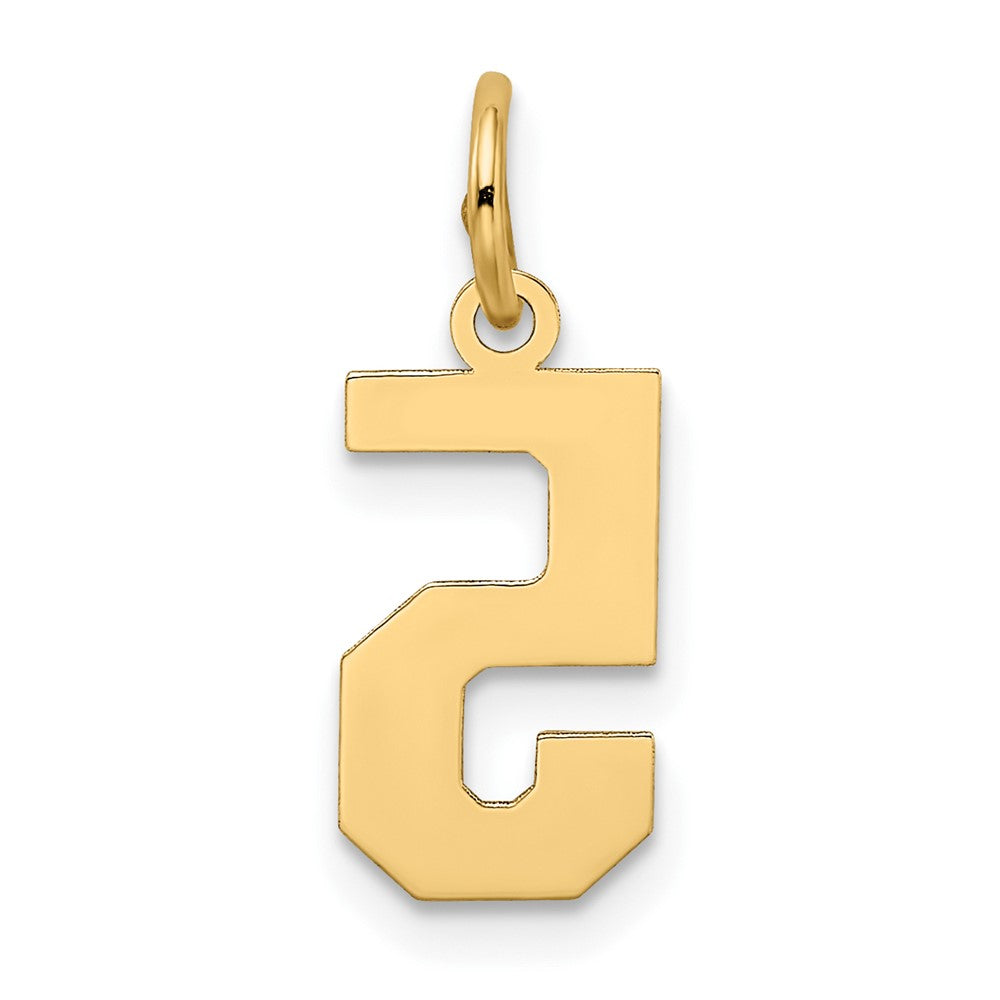 Alternate view of the 14k Yellow Gold, Jersey Collection, Small Number 5 Pendant by The Black Bow Jewelry Co.