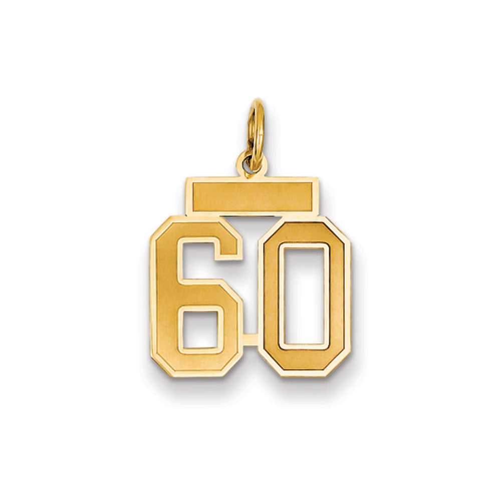 14k Yellow Gold, Jersey Collection, Small Number 60 Pendant, Item P10400-60 by The Black Bow Jewelry Co.