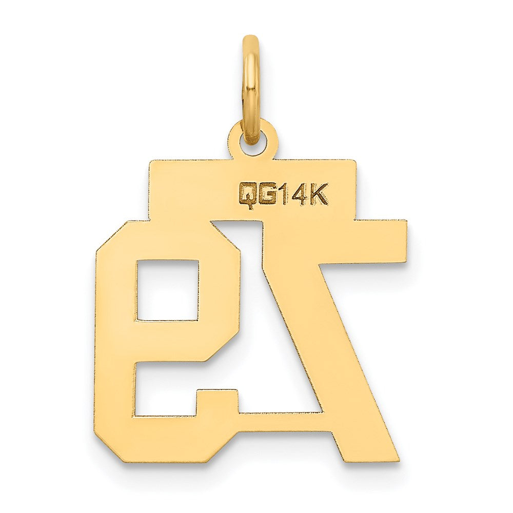 Alternate view of the 14k Yellow Gold, Jersey Collection, Small Number 79 Pendant by The Black Bow Jewelry Co.
