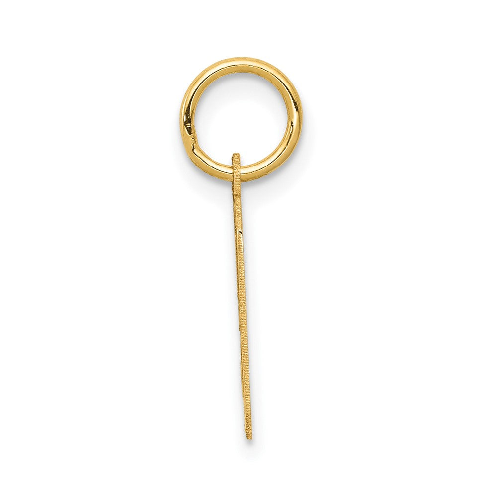 Alternate view of the 14k Yellow Gold, Jersey Collection, Small Number 9 Pendant by The Black Bow Jewelry Co.