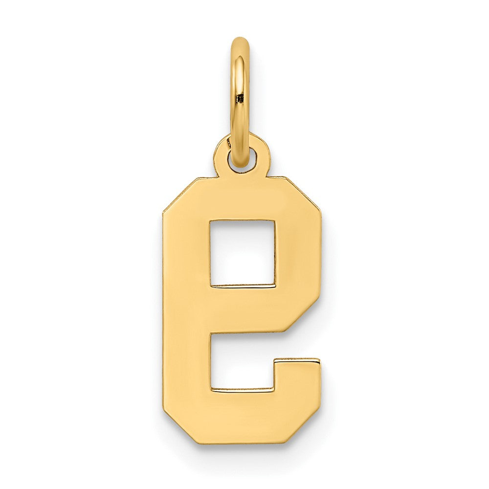 Alternate view of the 14k Yellow Gold, Jersey Collection, Small Number 9 Pendant by The Black Bow Jewelry Co.