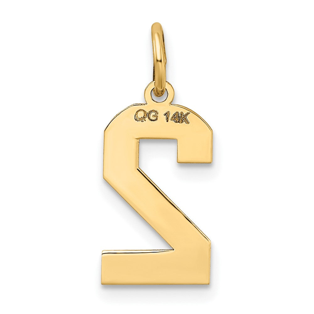 Alternate view of the 14k Yellow Gold, Jersey Collection, Medium Number 2 Pendant by The Black Bow Jewelry Co.