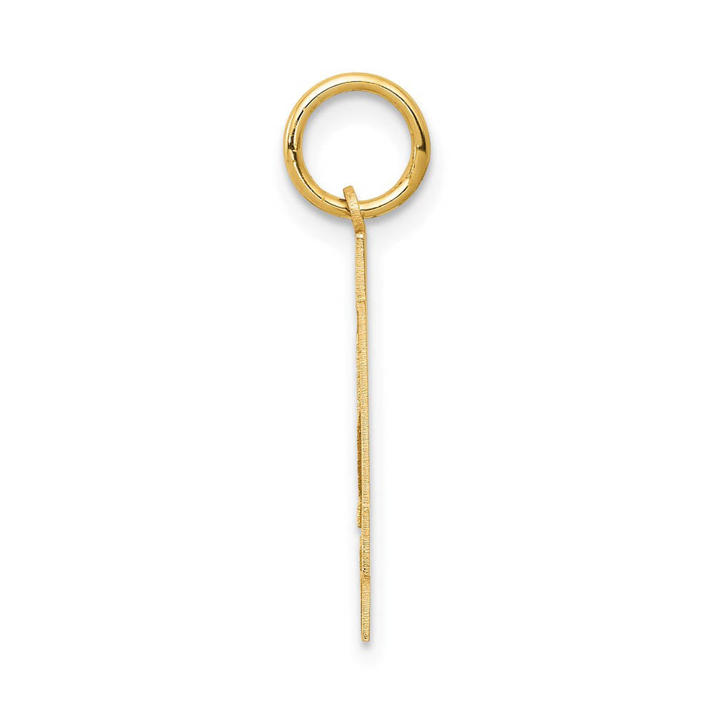 Alternate view of the 14k Yellow Gold, Jersey Collection, Medium Number 34 Pendant by The Black Bow Jewelry Co.