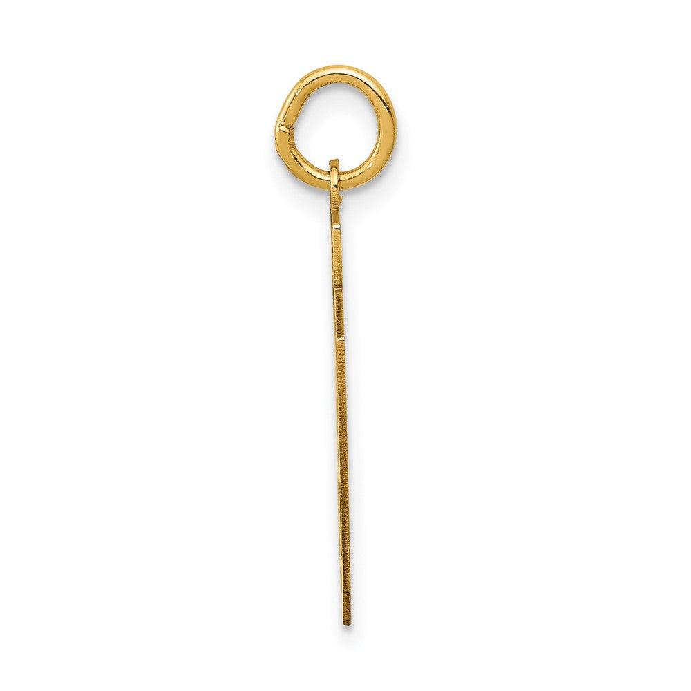 Alternate view of the 14k Yellow Gold, Jersey Collection, Medium Number 39 Pendant by The Black Bow Jewelry Co.