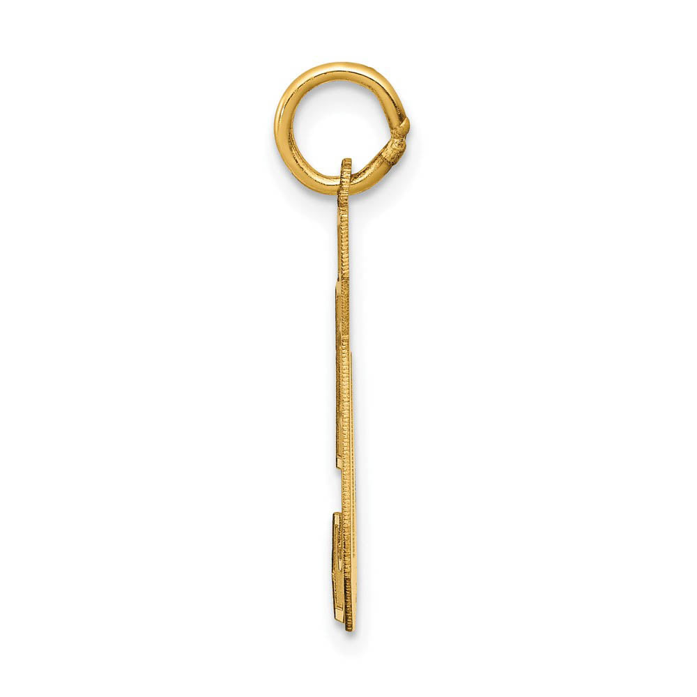 Alternate view of the 14k Yellow Gold, Jersey Collection, Medium Number 50 Pendant by The Black Bow Jewelry Co.