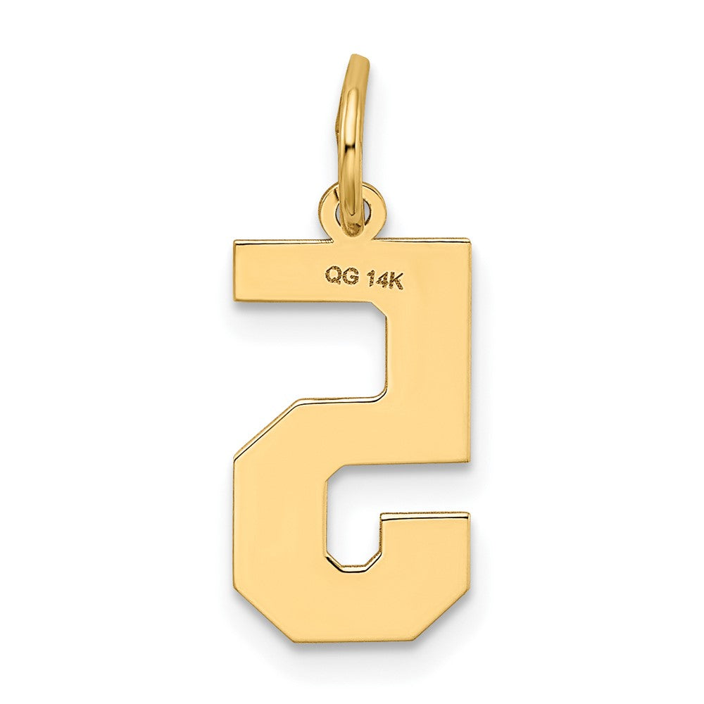 Alternate view of the 14k Yellow Gold, Jersey Collection, Medium Number 5 Pendant by The Black Bow Jewelry Co.