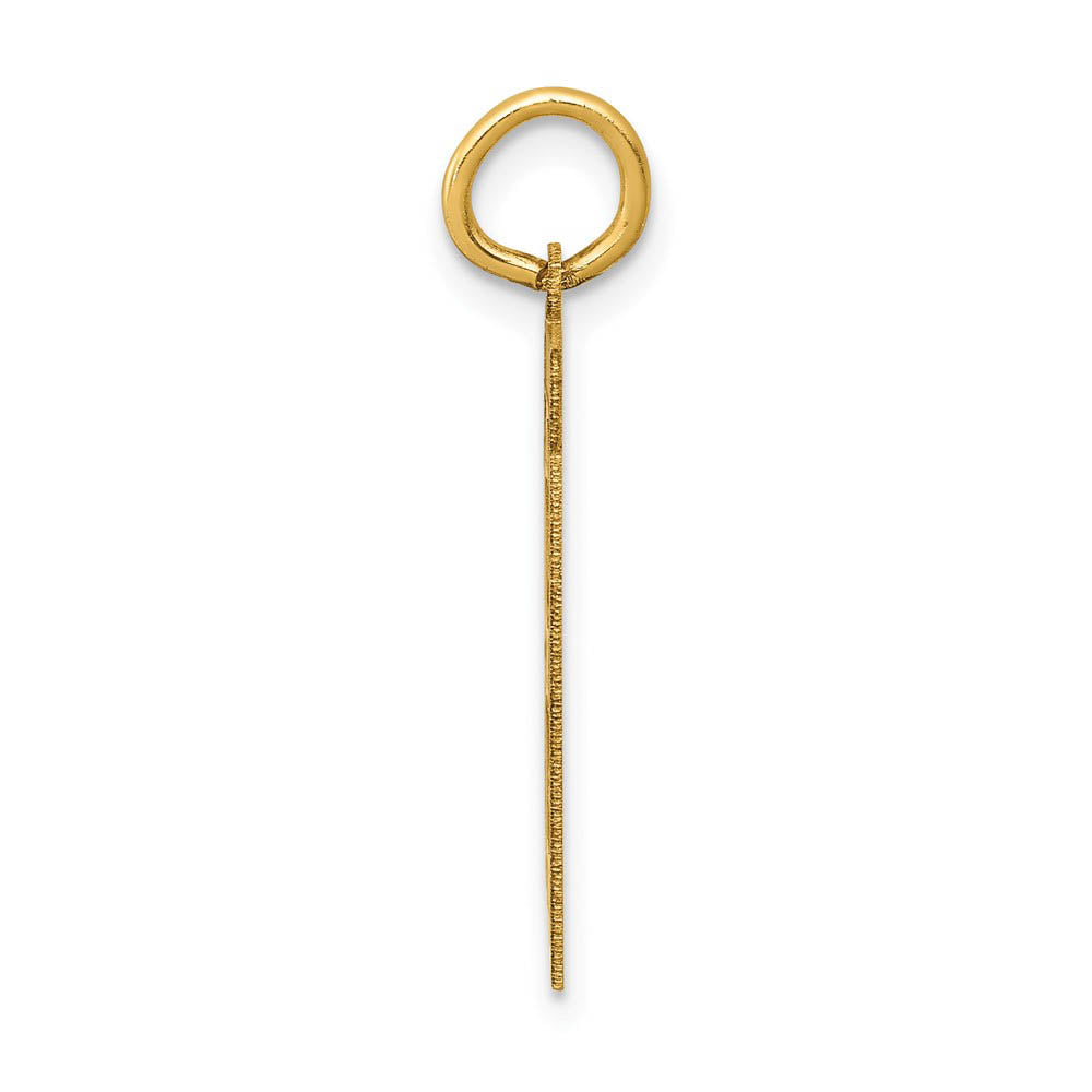 Alternate view of the 14k Yellow Gold, Jersey Collection, Medium Number 81 Pendant by The Black Bow Jewelry Co.