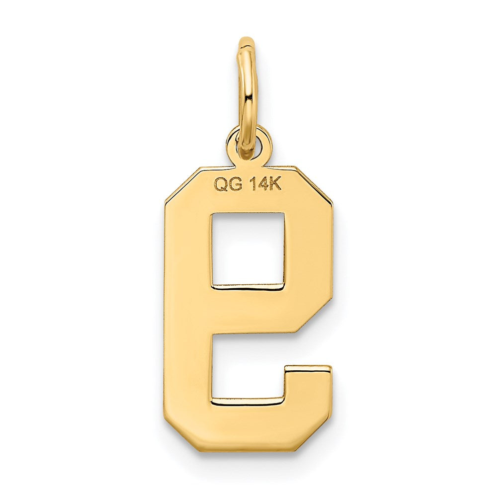 Alternate view of the 14k Yellow Gold, Jersey Collection, Medium Number 9 Pendant by The Black Bow Jewelry Co.