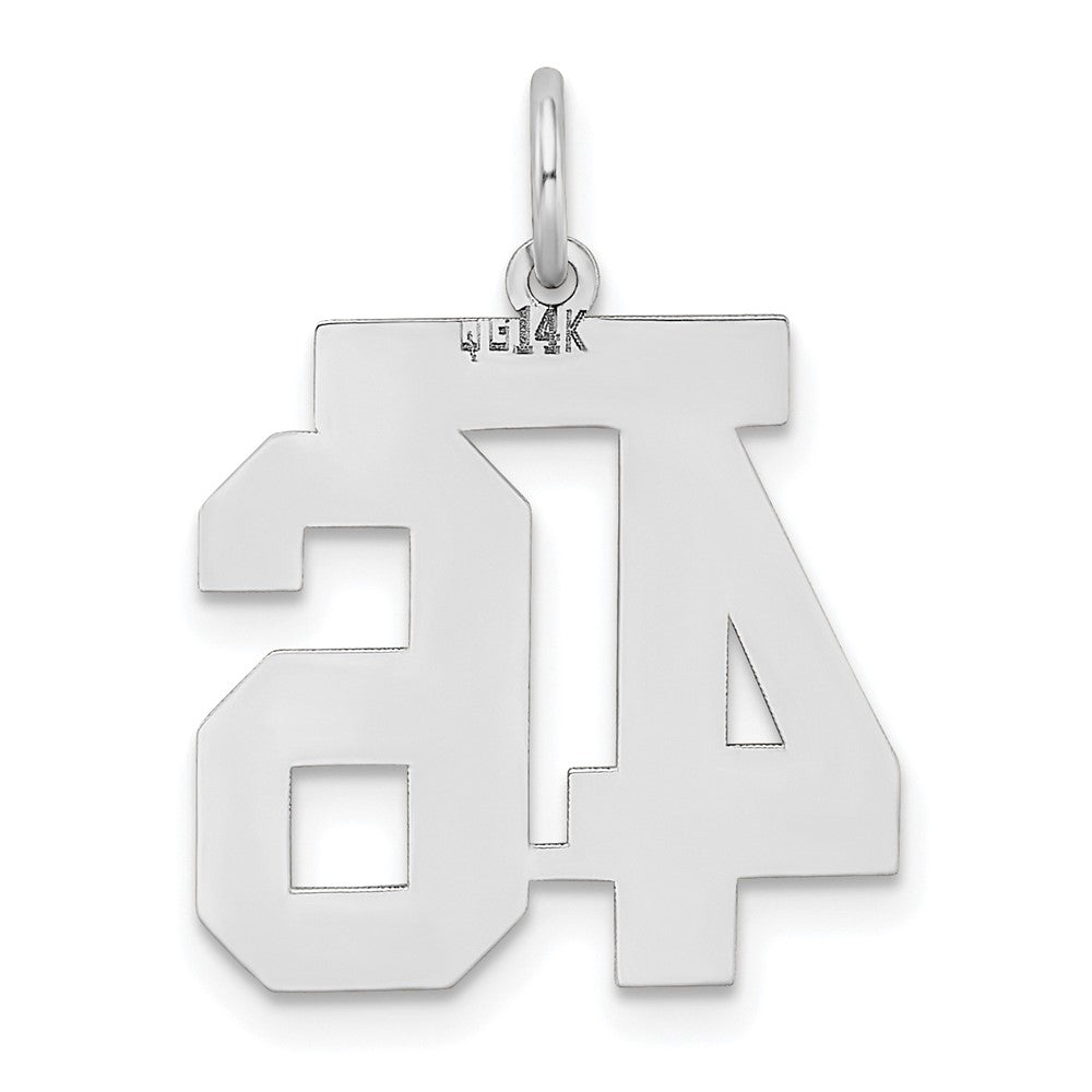 Alternate view of the 14k White Gold, Jersey Collection, Medium Number 46 Pendant by The Black Bow Jewelry Co.