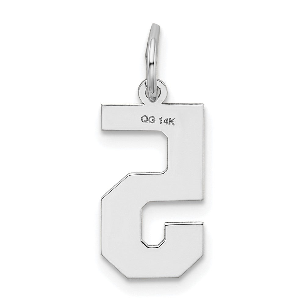 Alternate view of the 14k White Gold, Jersey Collection, Medium Number 5 Pendant by The Black Bow Jewelry Co.