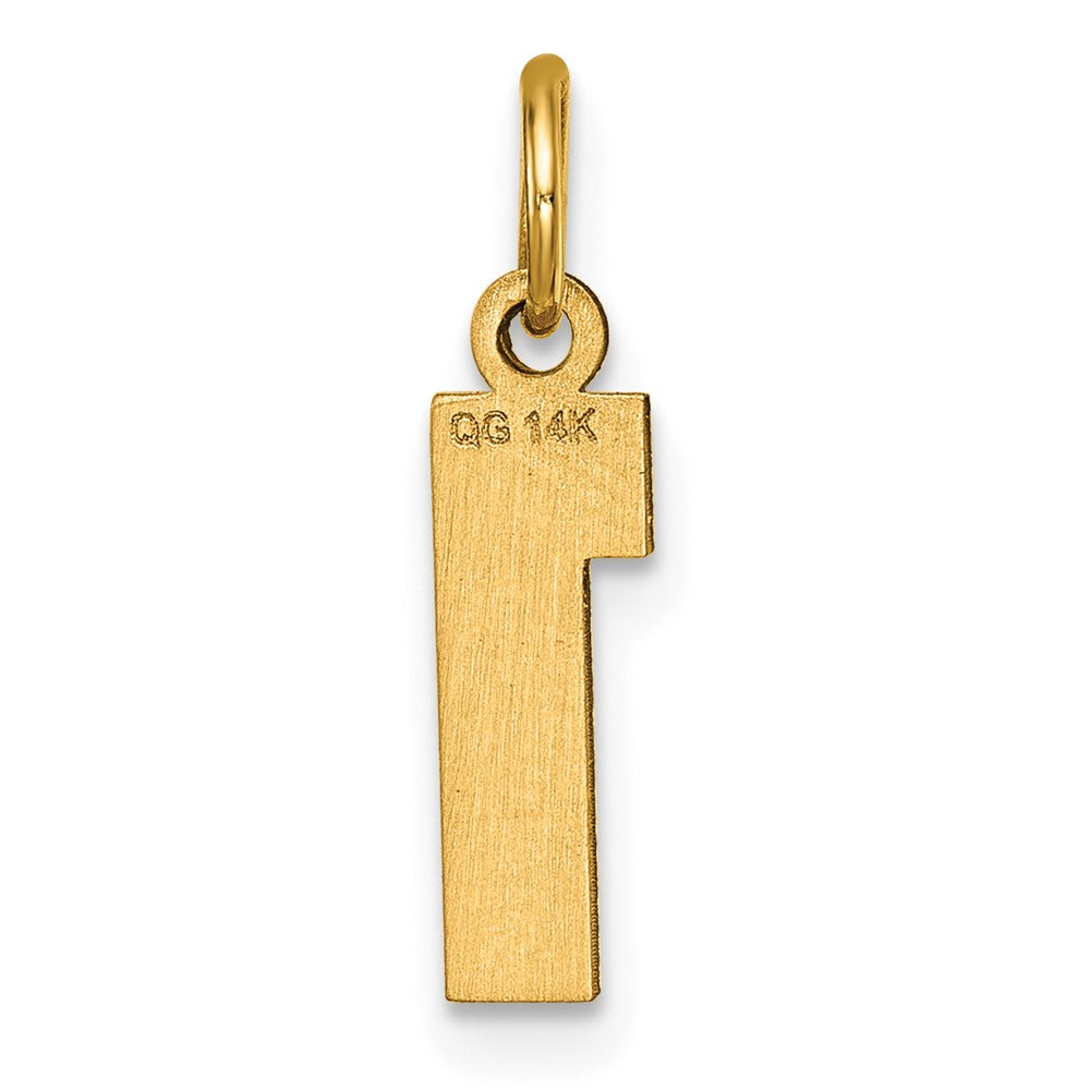 Alternate view of the 14k Yellow Gold, Varsity Collection, Small D/C Pendant Number 1 by The Black Bow Jewelry Co.