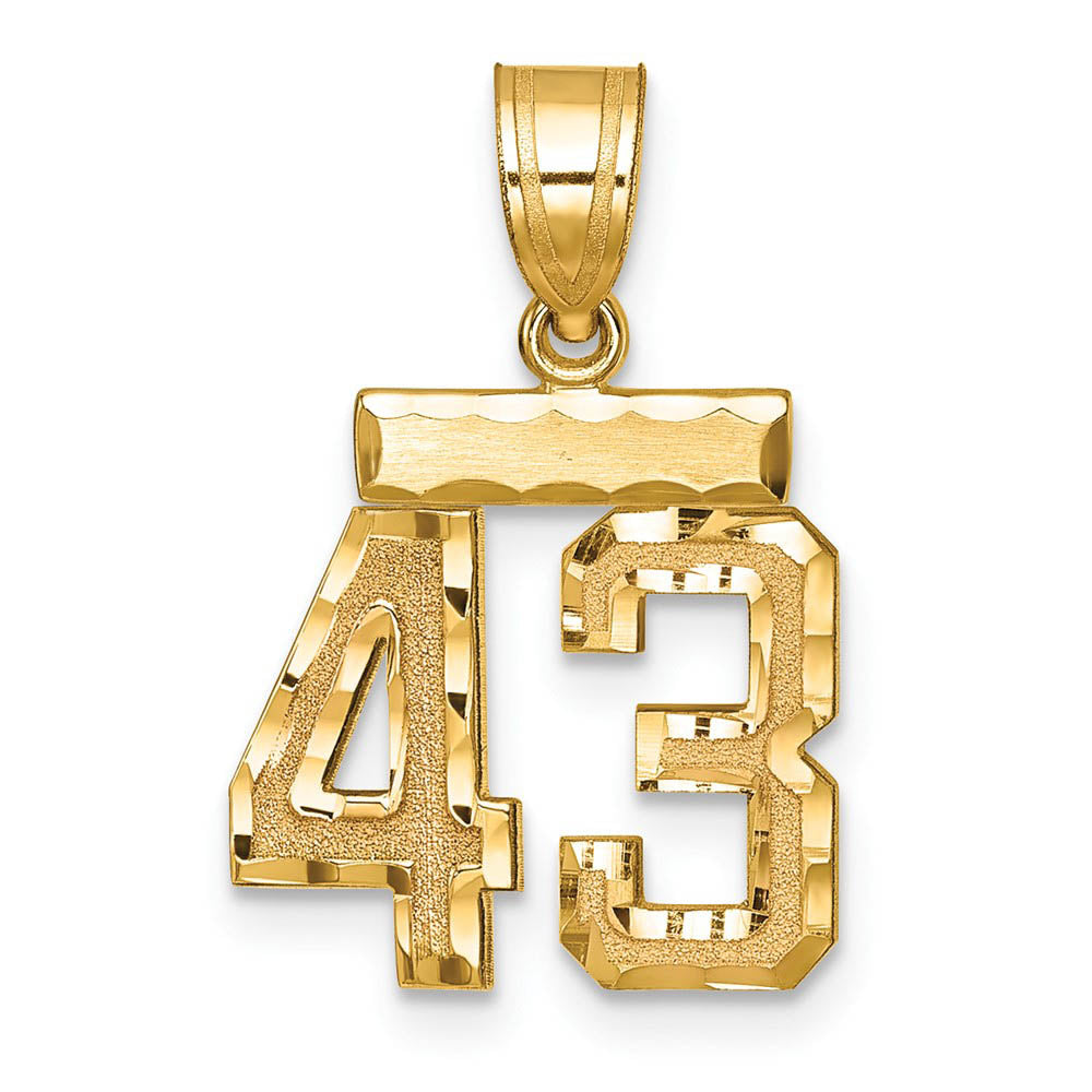 14k Yellow Gold, Varsity Collection, Small D/C Pendant Number 43, Item P10408-43 by The Black Bow Jewelry Co.
