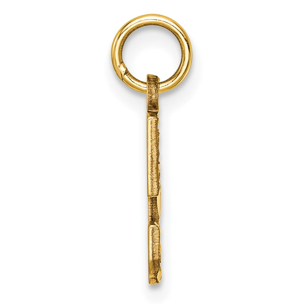 Alternate view of the 14k Yellow Gold, Varsity Collection, Small D/C Pendant Number 5 by The Black Bow Jewelry Co.