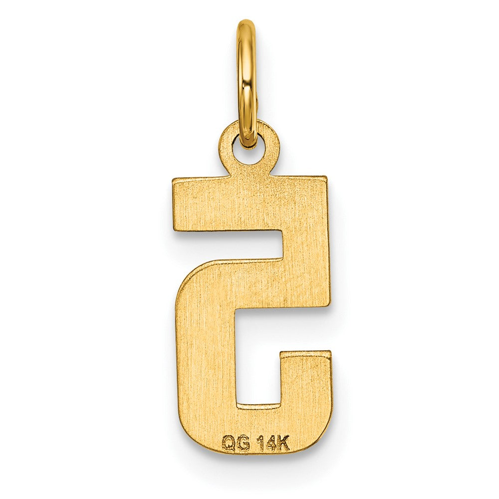 Alternate view of the 14k Yellow Gold, Varsity Collection, Small D/C Pendant Number 5 by The Black Bow Jewelry Co.