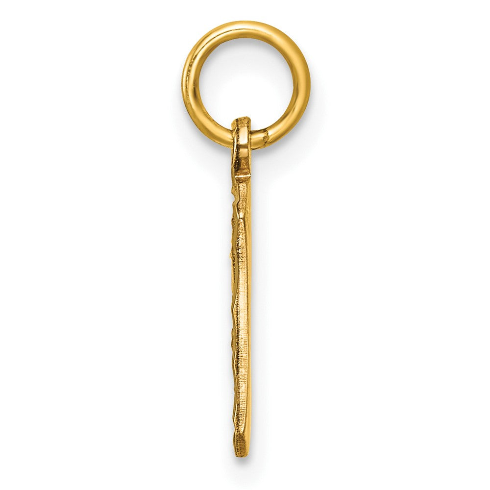 Alternate view of the 14k Yellow Gold, Varsity Collection, Small D/C Pendant Number 9 by The Black Bow Jewelry Co.