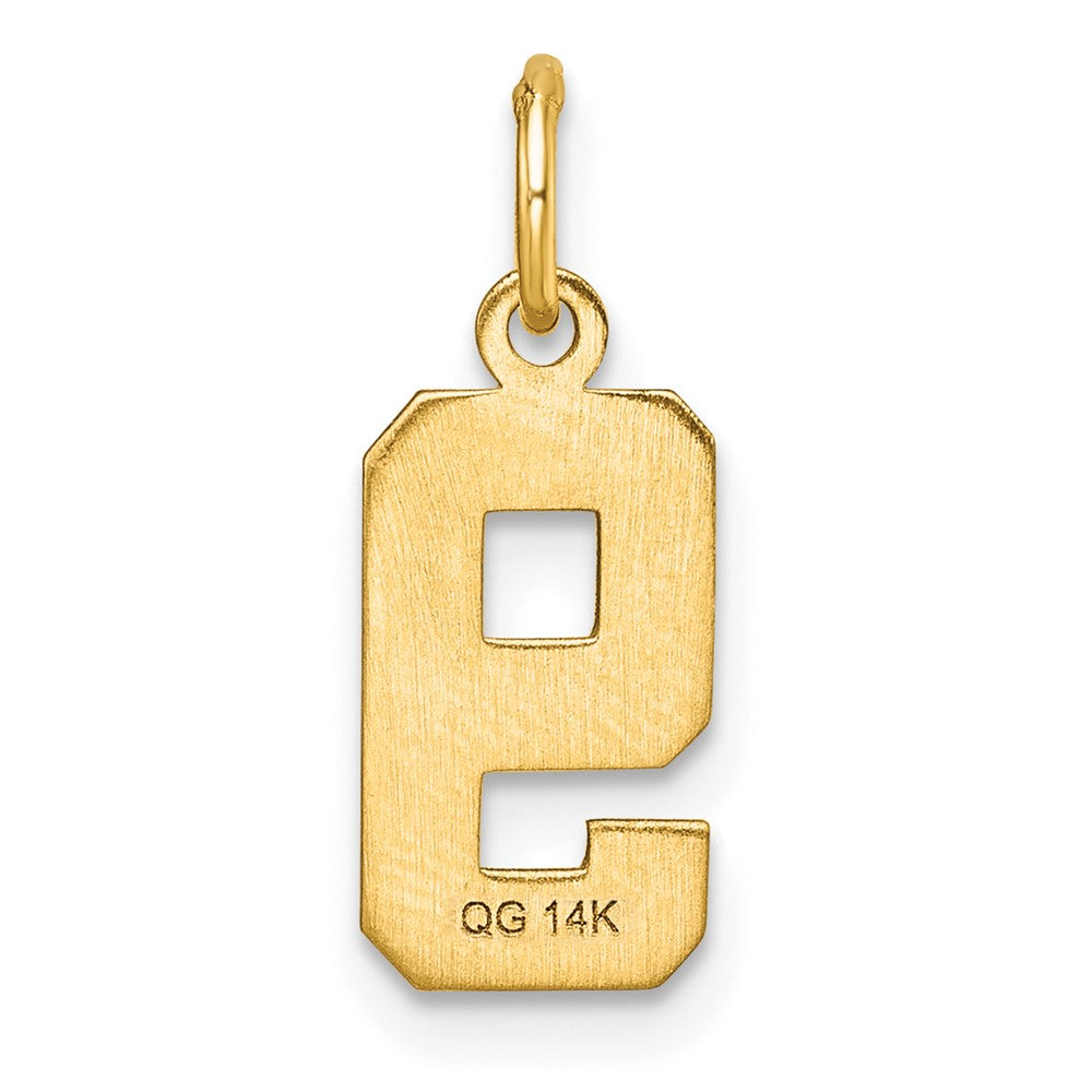 Alternate view of the 14k Yellow Gold, Varsity Collection, Small D/C Pendant Number 9 by The Black Bow Jewelry Co.