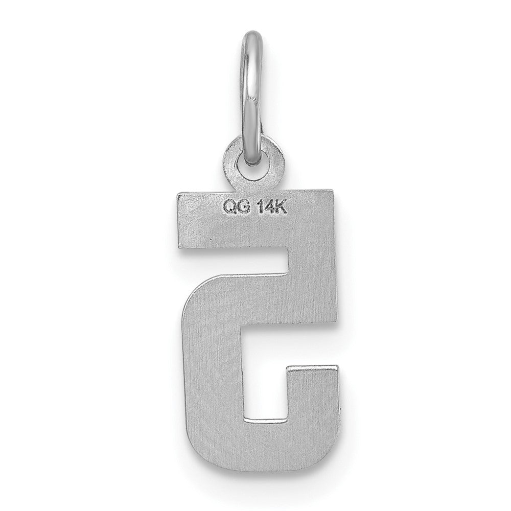 Alternate view of the 14k White Gold, Varsity Collection, Small D/C Pendant, Number 5 by The Black Bow Jewelry Co.
