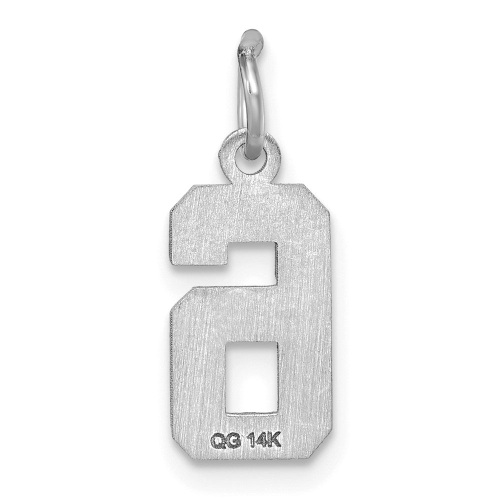 Alternate view of the 14k White Gold, Varsity Collection, Small D/C Pendant, Number 6 by The Black Bow Jewelry Co.