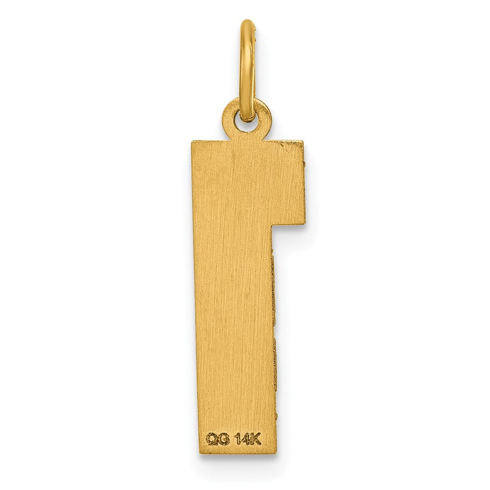 Alternate view of the 14k Yellow Gold, Varsity Collection, Large D/C Pendant Number 1 by The Black Bow Jewelry Co.