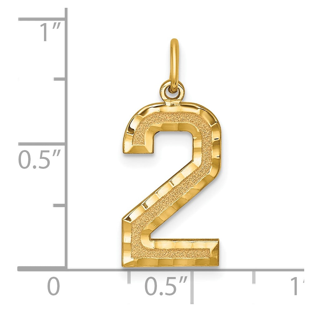 Alternate view of the 14k Yellow Gold, Varsity Collection, Large D/C Pendant Number 2 by The Black Bow Jewelry Co.