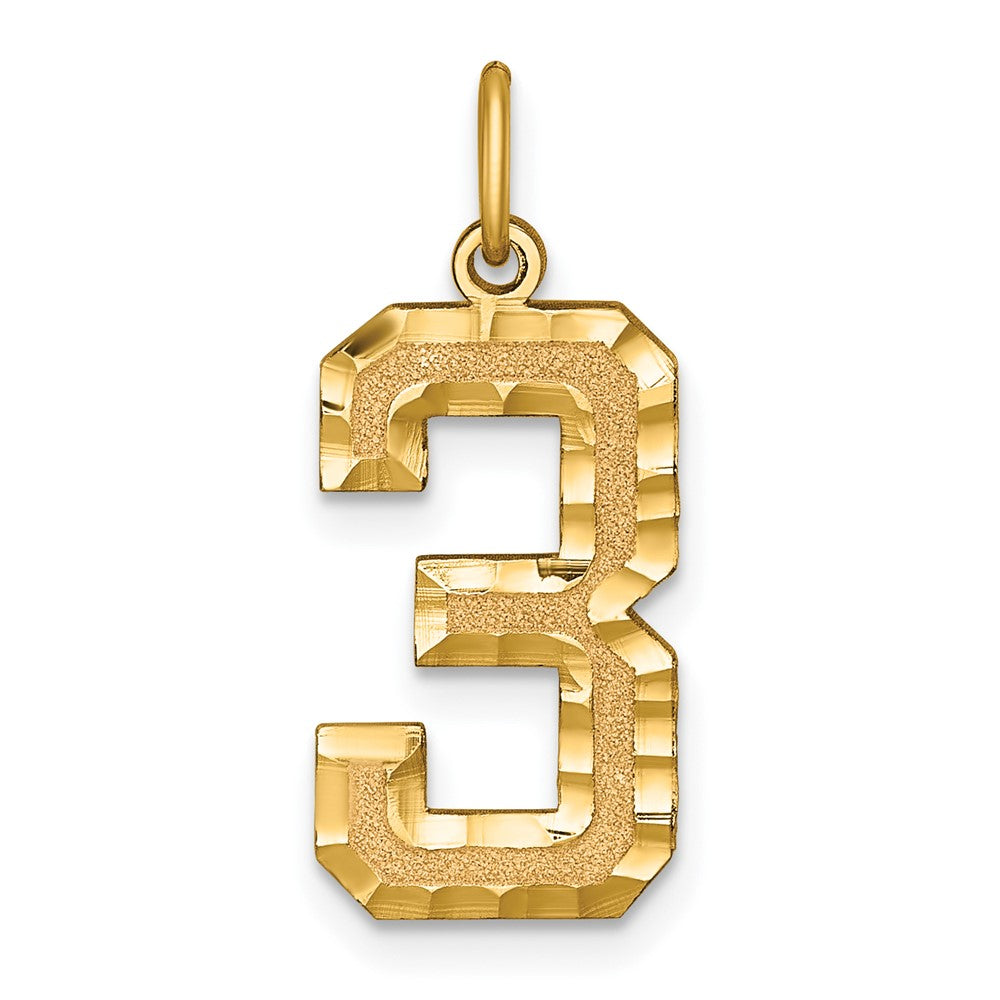 14k Yellow Gold, Varsity Collection, Large D/C Pendant Number 3, Item P10411-3 by The Black Bow Jewelry Co.