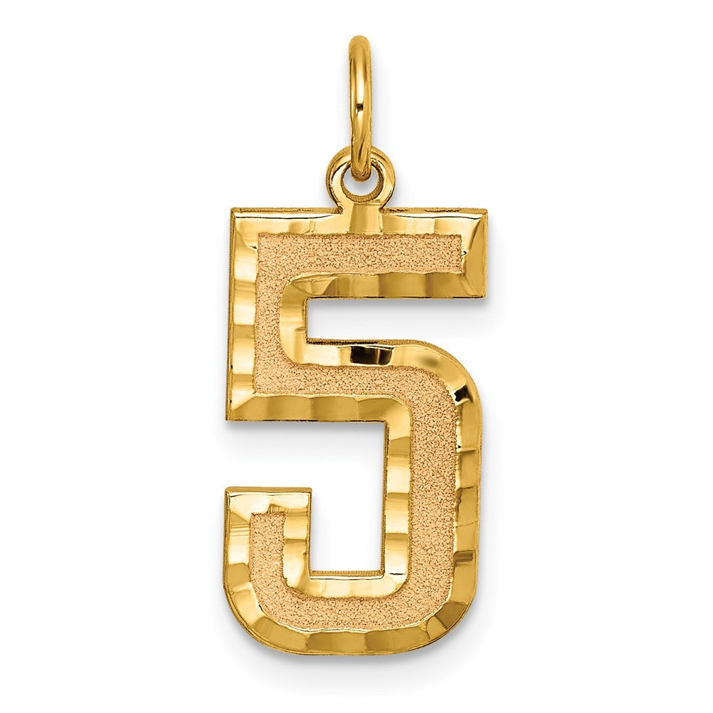 14k Yellow Gold, Varsity Collection, Large D/C Pendant Number 5, Item P10411-5 by The Black Bow Jewelry Co.