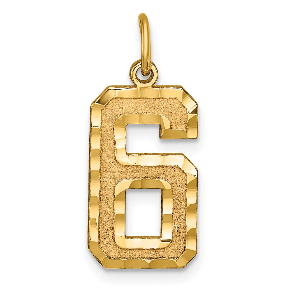 14k Yellow Gold, Varsity Collection, Large D/C Pendant Number 6, Item P10411-6 by The Black Bow Jewelry Co.