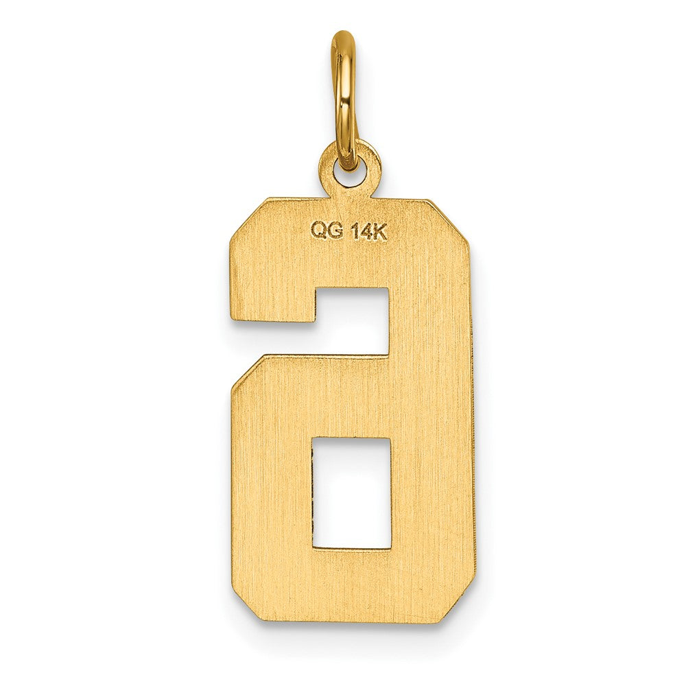 Alternate view of the 14k Yellow Gold, Varsity Collection, Large D/C Pendant Number 6 by The Black Bow Jewelry Co.