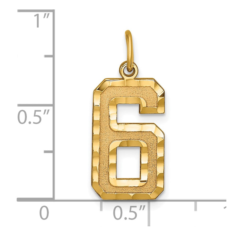 Alternate view of the 14k Yellow Gold, Varsity Collection, Large D/C Pendant Number 6 by The Black Bow Jewelry Co.