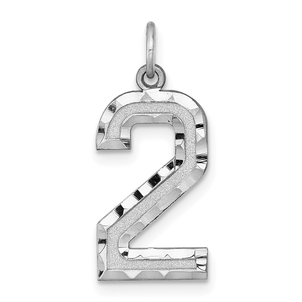 14k White Gold, Varsity Collection, Large D/C Pendant, Number 2, Item P10412-2 by The Black Bow Jewelry Co.