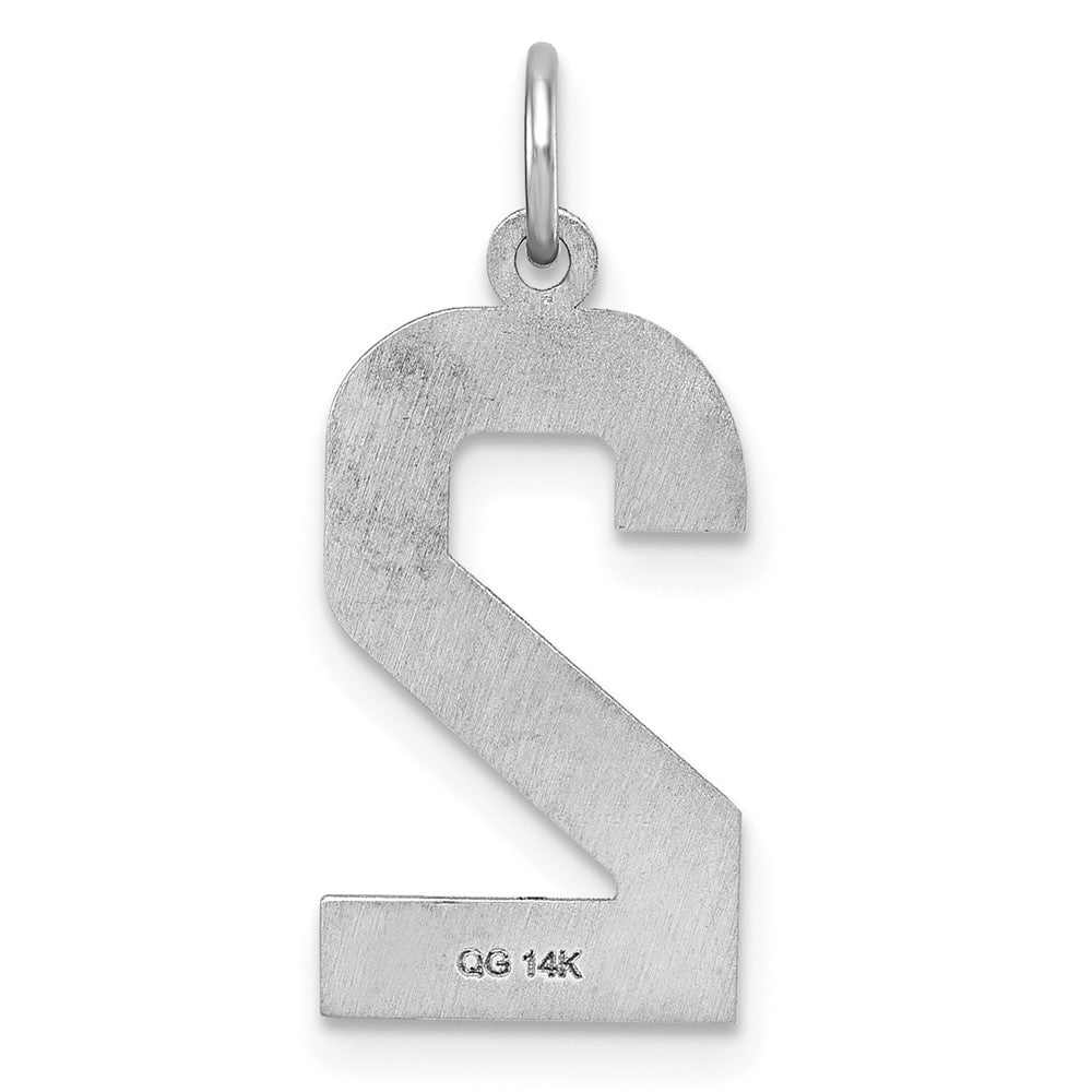 Alternate view of the 14k White Gold, Varsity Collection, Large D/C Pendant, Number 2 by The Black Bow Jewelry Co.