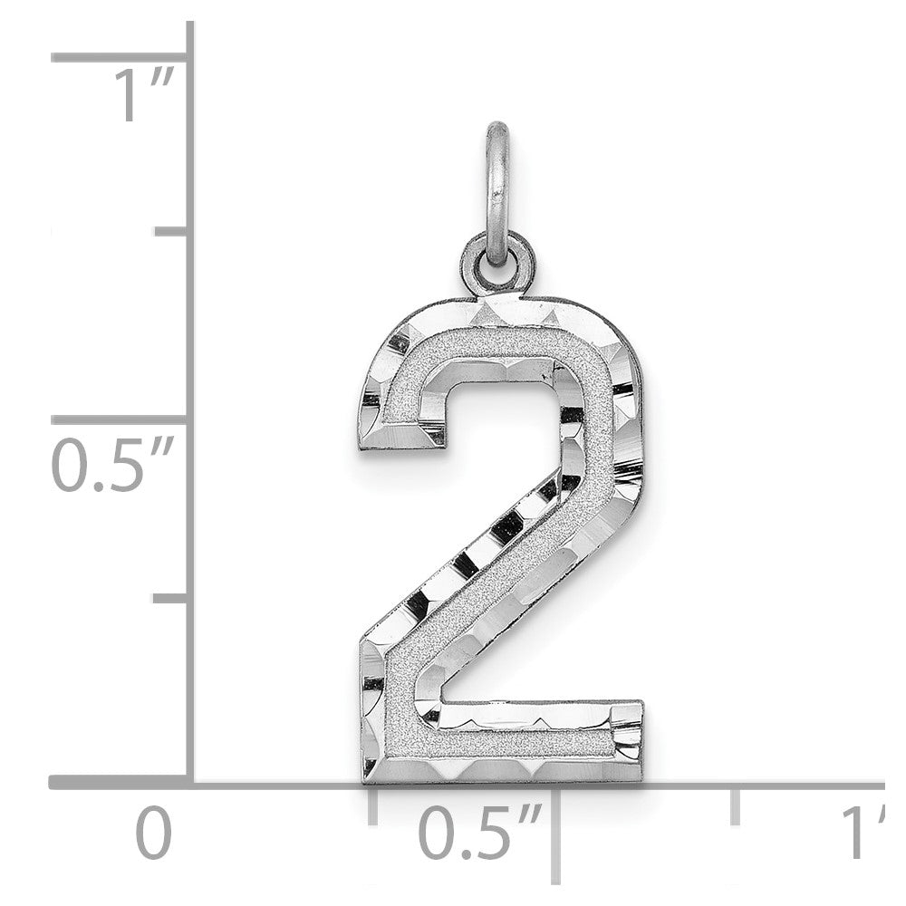 Alternate view of the 14k White Gold, Varsity Collection, Large D/C Pendant, Number 2 by The Black Bow Jewelry Co.