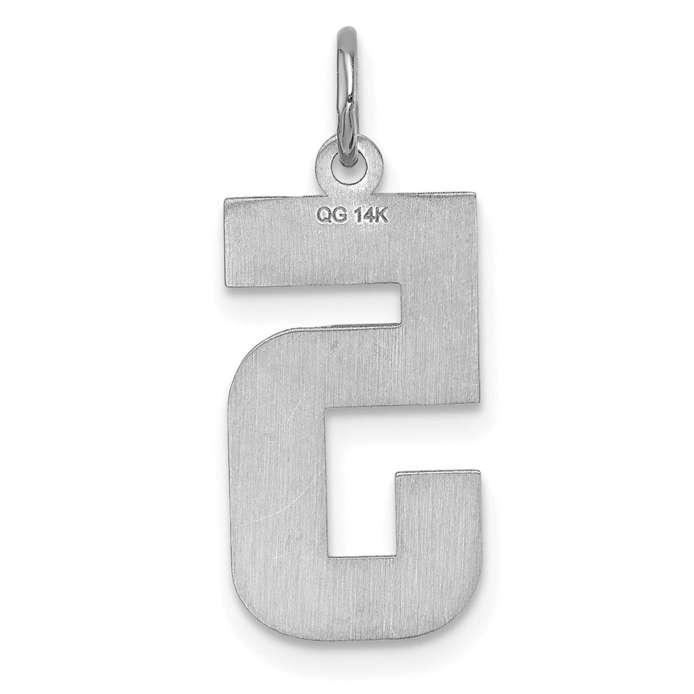 Alternate view of the 14k White Gold, Varsity Collection, Large D/C Pendant, Number 5 by The Black Bow Jewelry Co.
