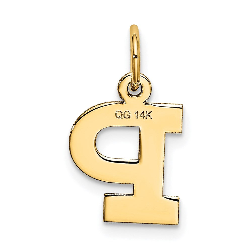 Alternate view of the 14k Yellow Gold, Amanda Collection, Small Block Initial P Pendant by The Black Bow Jewelry Co.