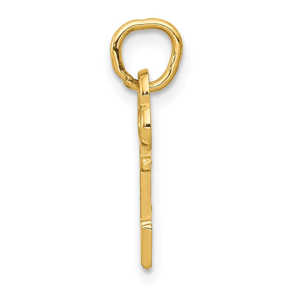 Alternate view of the 14k Yellow Gold, Hannah Collection, Mini Initial N Shamrock Key Charm by The Black Bow Jewelry Co.