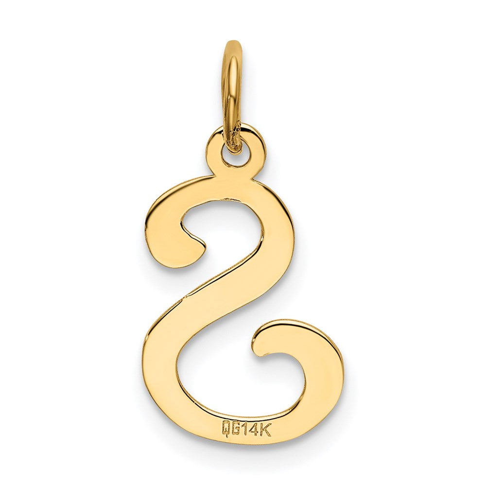Alternate view of the 14k Yellow Gold, Sophia Collection, Small Script Initial S Pendant by The Black Bow Jewelry Co.