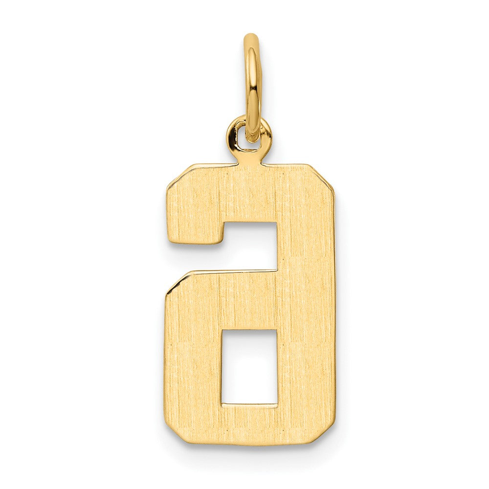 Alternate view of the 14k Yellow Gold, Athletic Collection Medium Polished Number 6 Pendant by The Black Bow Jewelry Co.