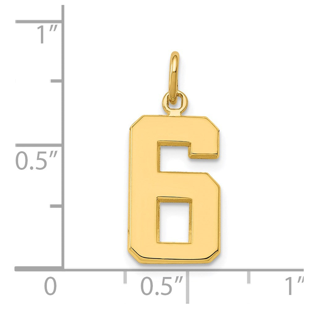 Alternate view of the 14k Yellow Gold, Athletic Collection Medium Polished Number 6 Pendant by The Black Bow Jewelry Co.