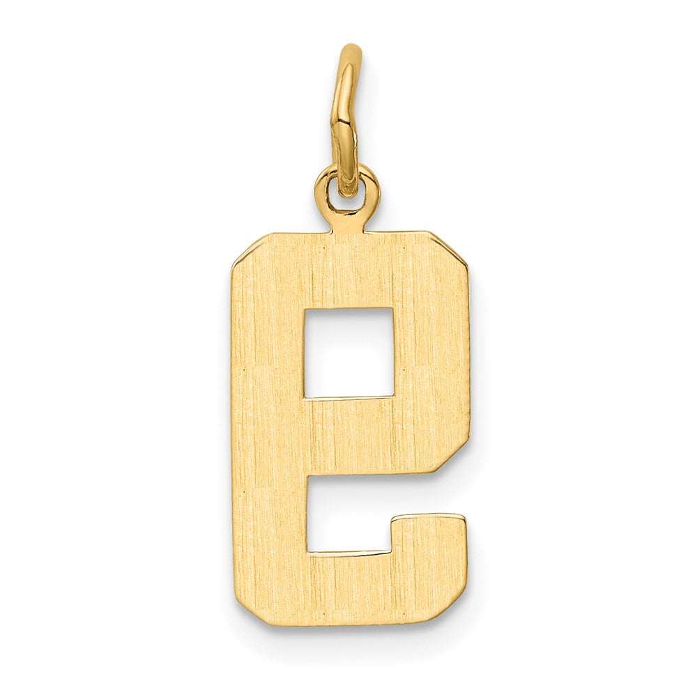 Alternate view of the 14k Yellow Gold, Athletic Collection Medium Polished Number 9 Pendant by The Black Bow Jewelry Co.