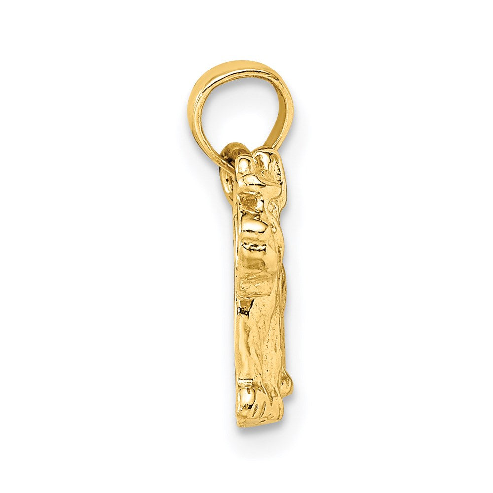 Alternate view of the 14k Yellow Gold 2D Schnauzer Pendant by The Black Bow Jewelry Co.