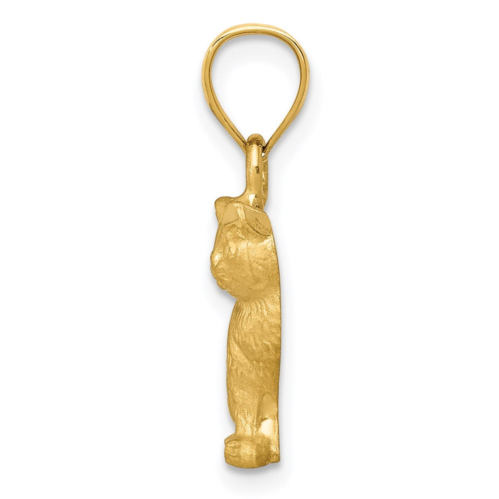 Alternate view of the 14k Yellow Gold 2D Textured and Satin Cat Pendant by The Black Bow Jewelry Co.