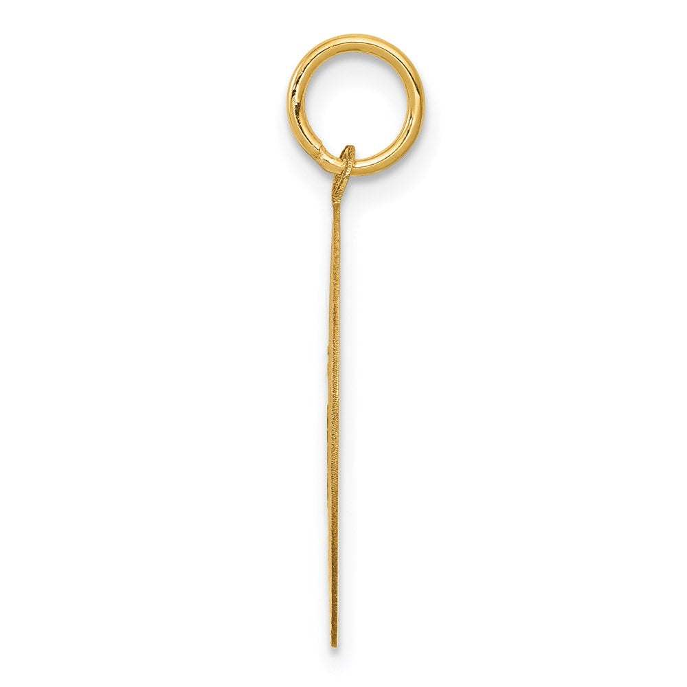 Alternate view of the 14k Yellow Gold Laser Etched Beagle Disc Pendant, 19mm by The Black Bow Jewelry Co.