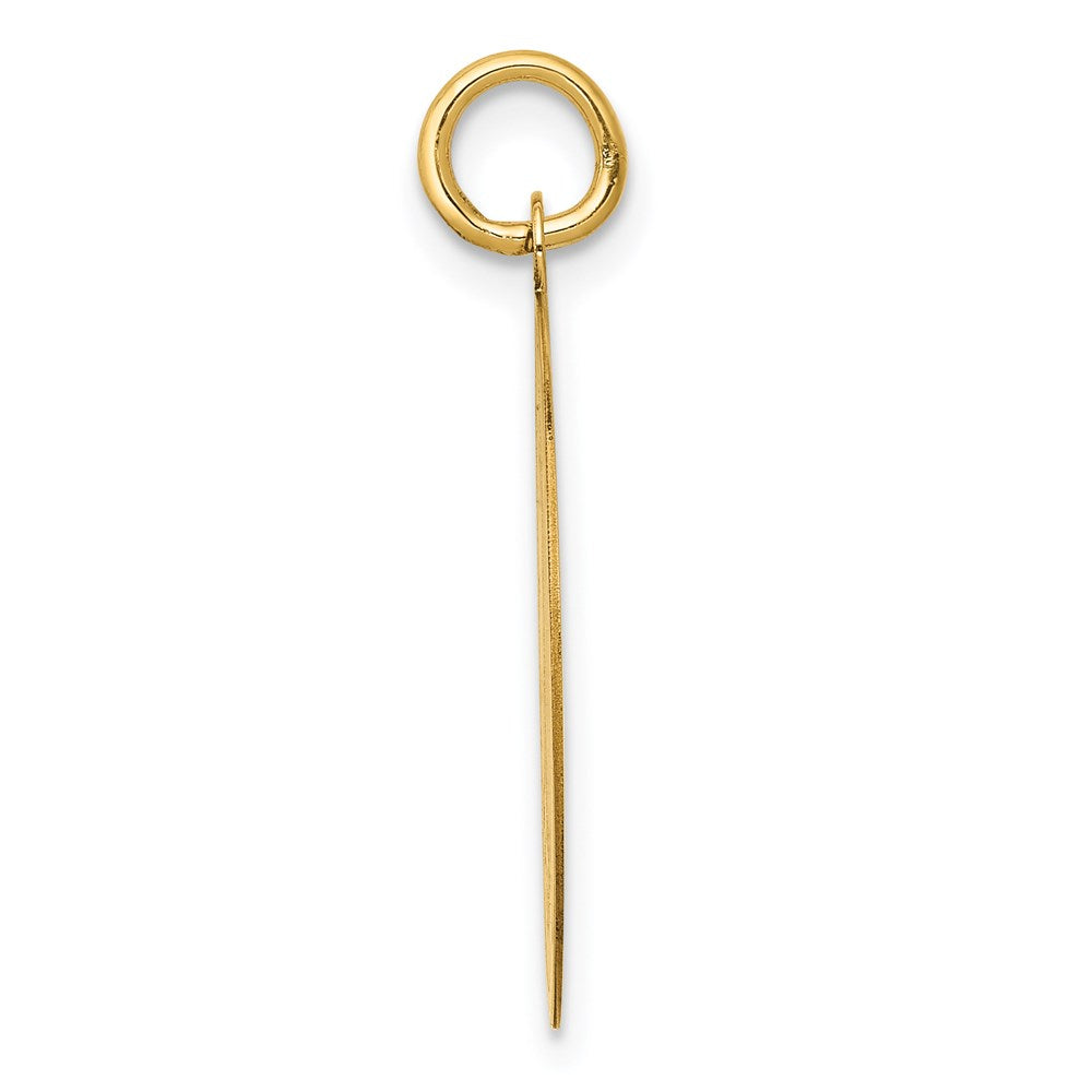 Alternate view of the 14k Yellow Gold Laser Etched Poodle Disc Pendant, 19mm by The Black Bow Jewelry Co.