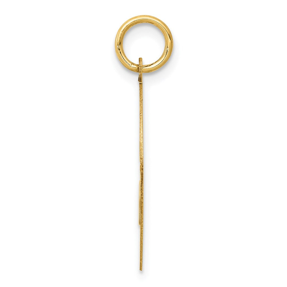 Alternate view of the 14k Yellow Gold Laser Etched Yorkshire Terrier Disc Pendant, 19mm by The Black Bow Jewelry Co.