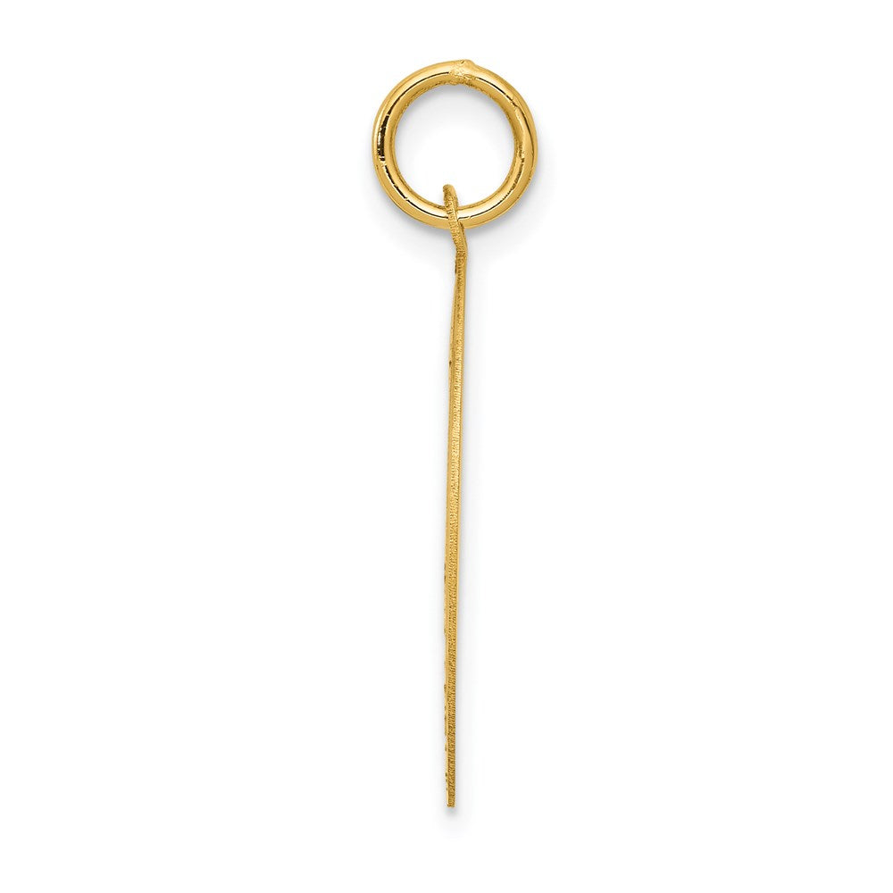 Alternate view of the 14k Yellow Gold Laser Etched Pug Disc Pendant, 19mm by The Black Bow Jewelry Co.