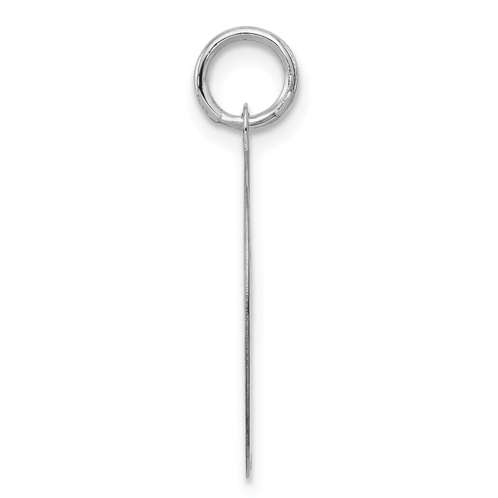 Alternate view of the 14k White Gold Laser Etched Golden Retriever Disc Pendant, 19mm by The Black Bow Jewelry Co.